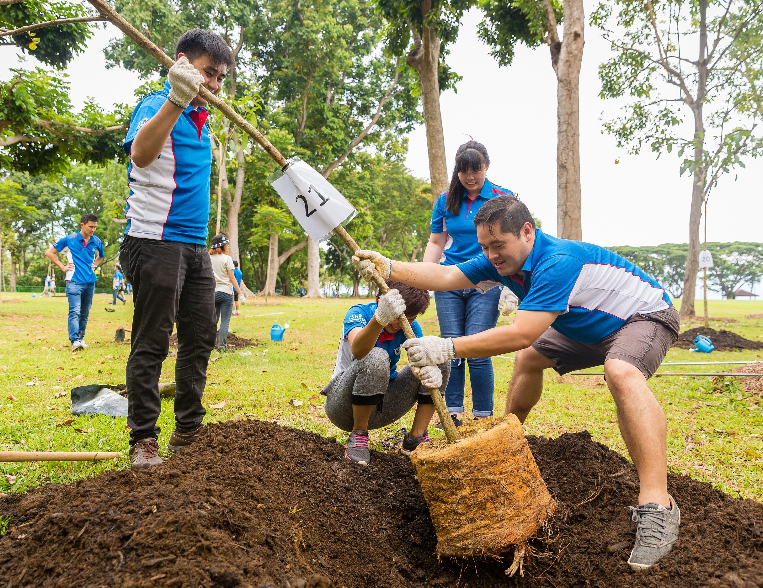 Tree Planting @ ECP Mega iShine v1.jpg