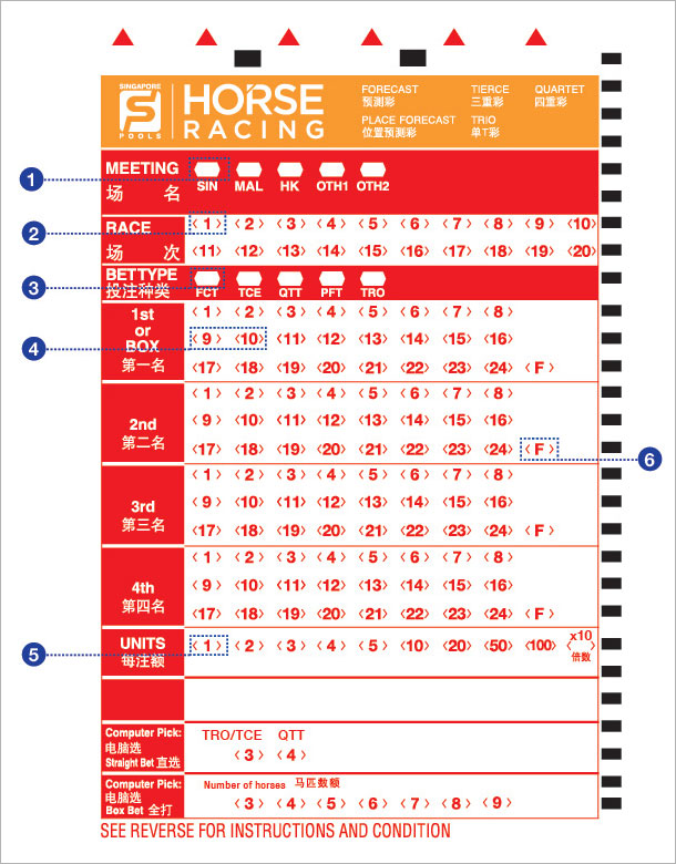 horse betting slips