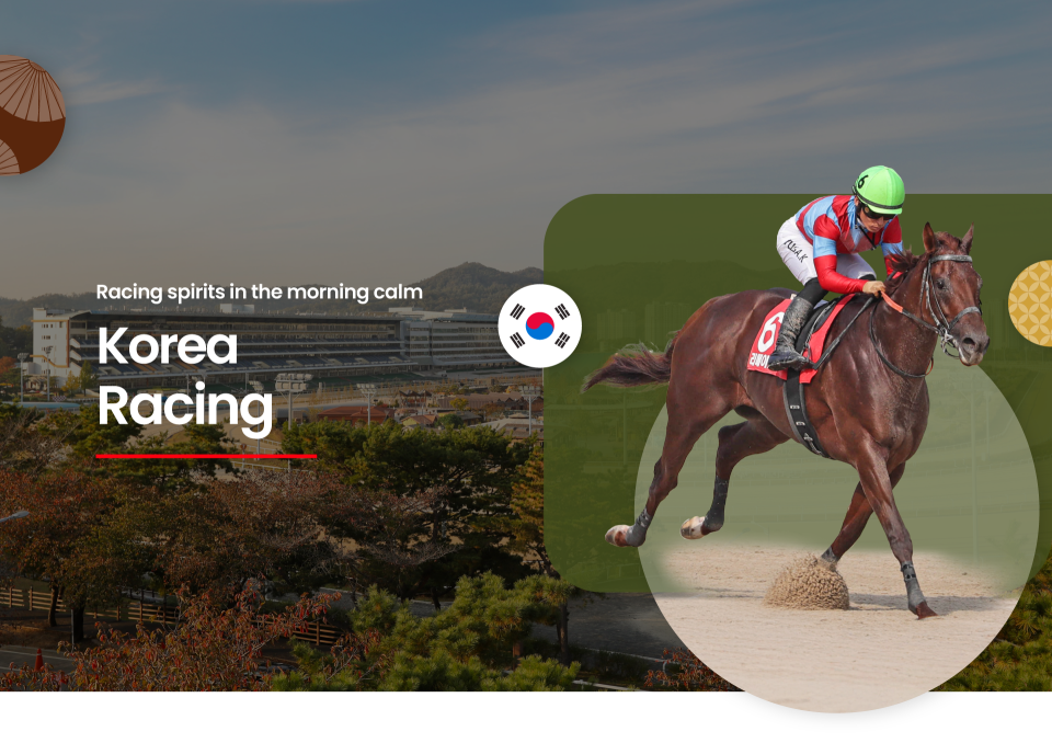 Koran Racing Korea Racing | Singapore Pools