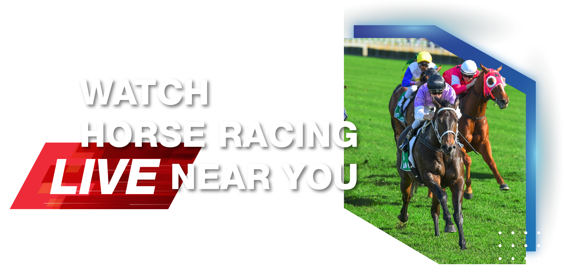 Watch Horse Racing LIVE Near You