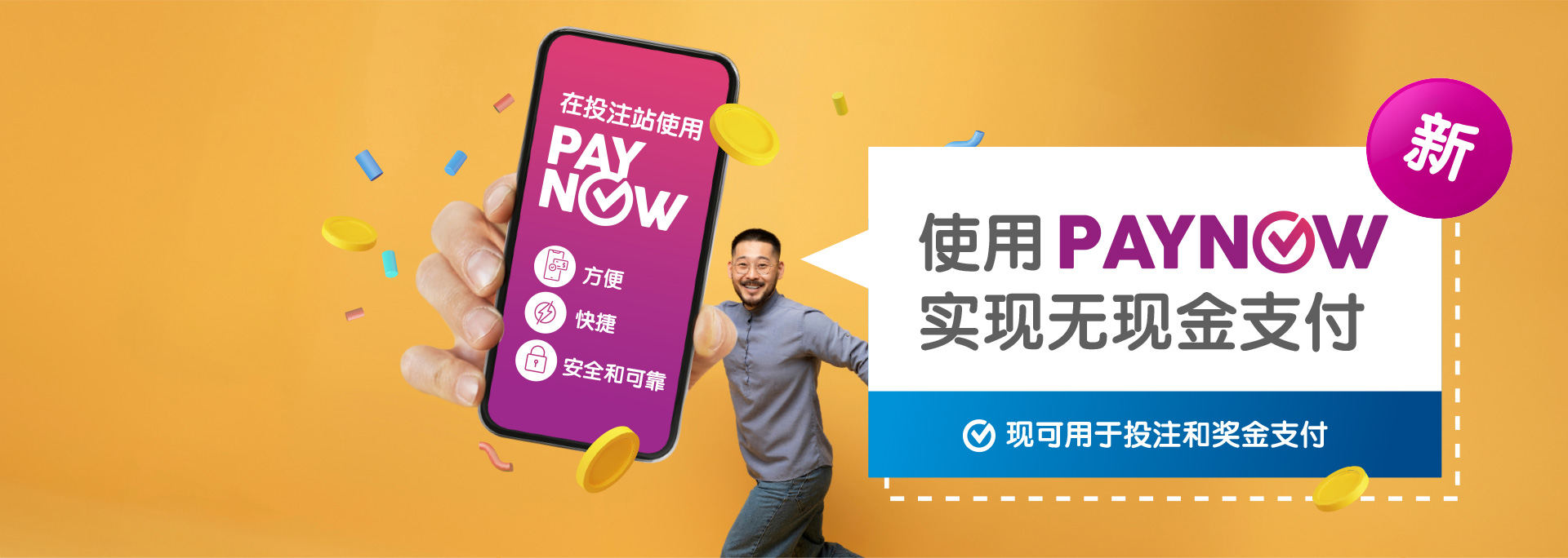 PayNow